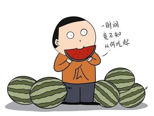 吃瓜用什么语言,揭秘网络吃瓜语言的魅力与影响