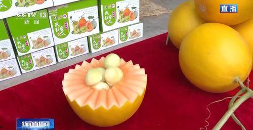 甘肃民勤吃蜜瓜